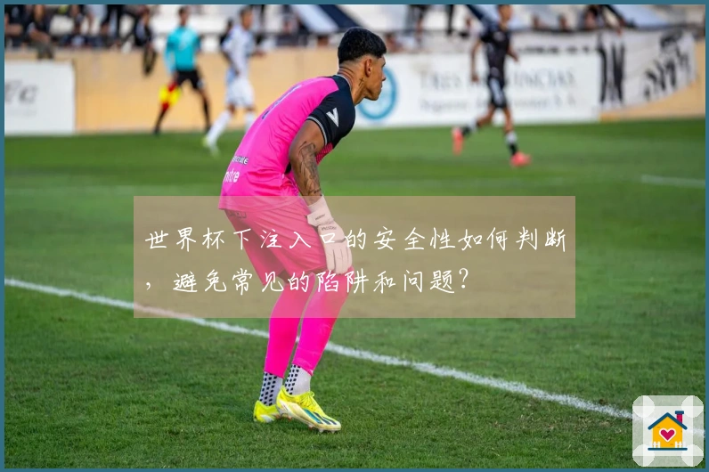 世界杯下注入口的安全性如何判断，避免常见的陷阱和问题？